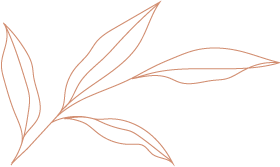 ilustration of a leafy branch