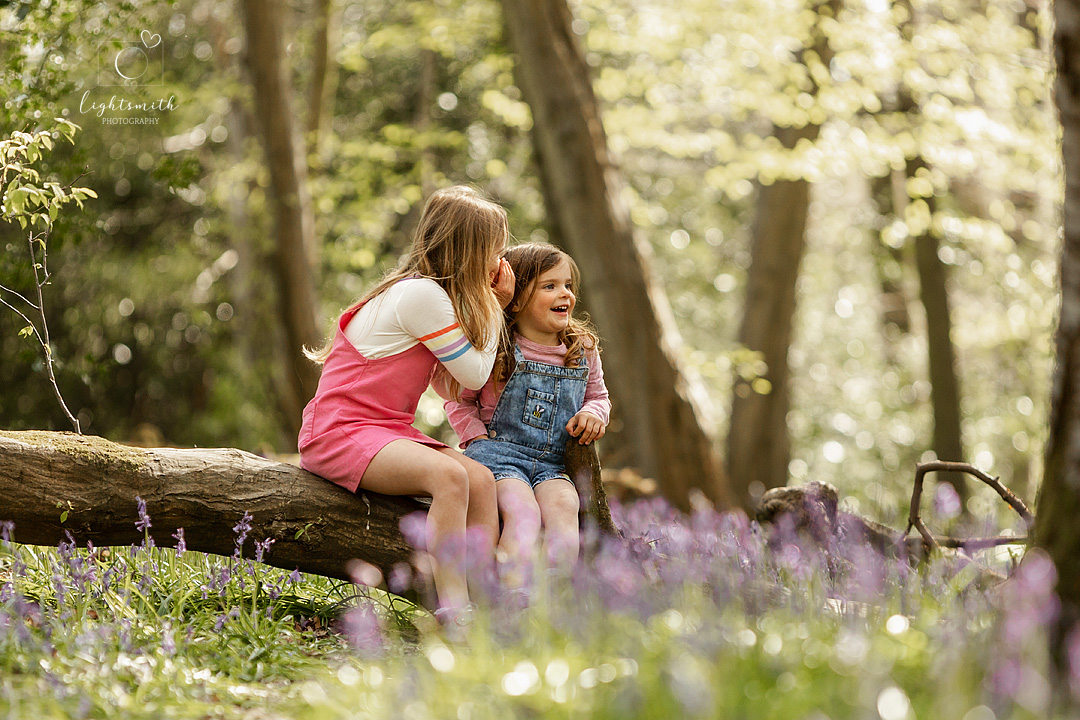two little sisters whispering secrets to eachother in the bluebell woods. The little sister is laughing