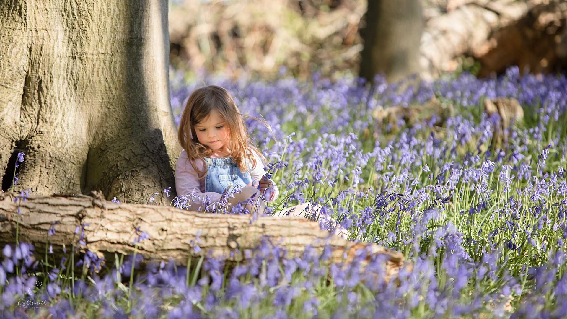 a very cute tiny girl sits at the base of a big tree, amongst the bluebells in a Buckinghamshire Woodland 