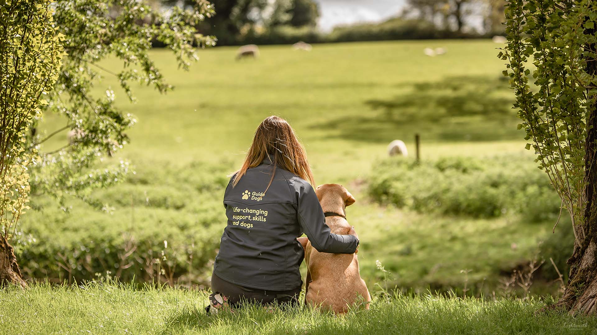 a woman wearing a guide dogs jacket hugging a Labrador dog. They are seen from the back looking over a sunny field view