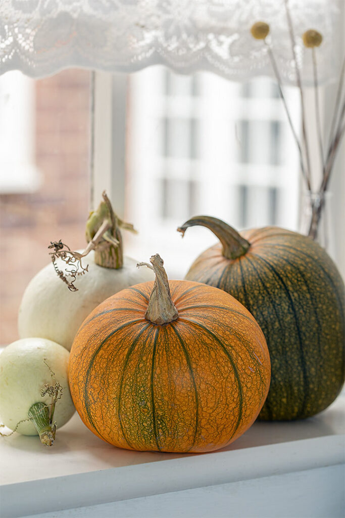 some different coloured pumpkins in a window